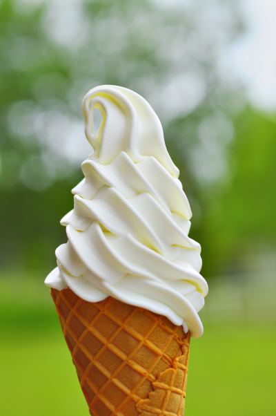 Soft scoop ice on sale cream suppliers